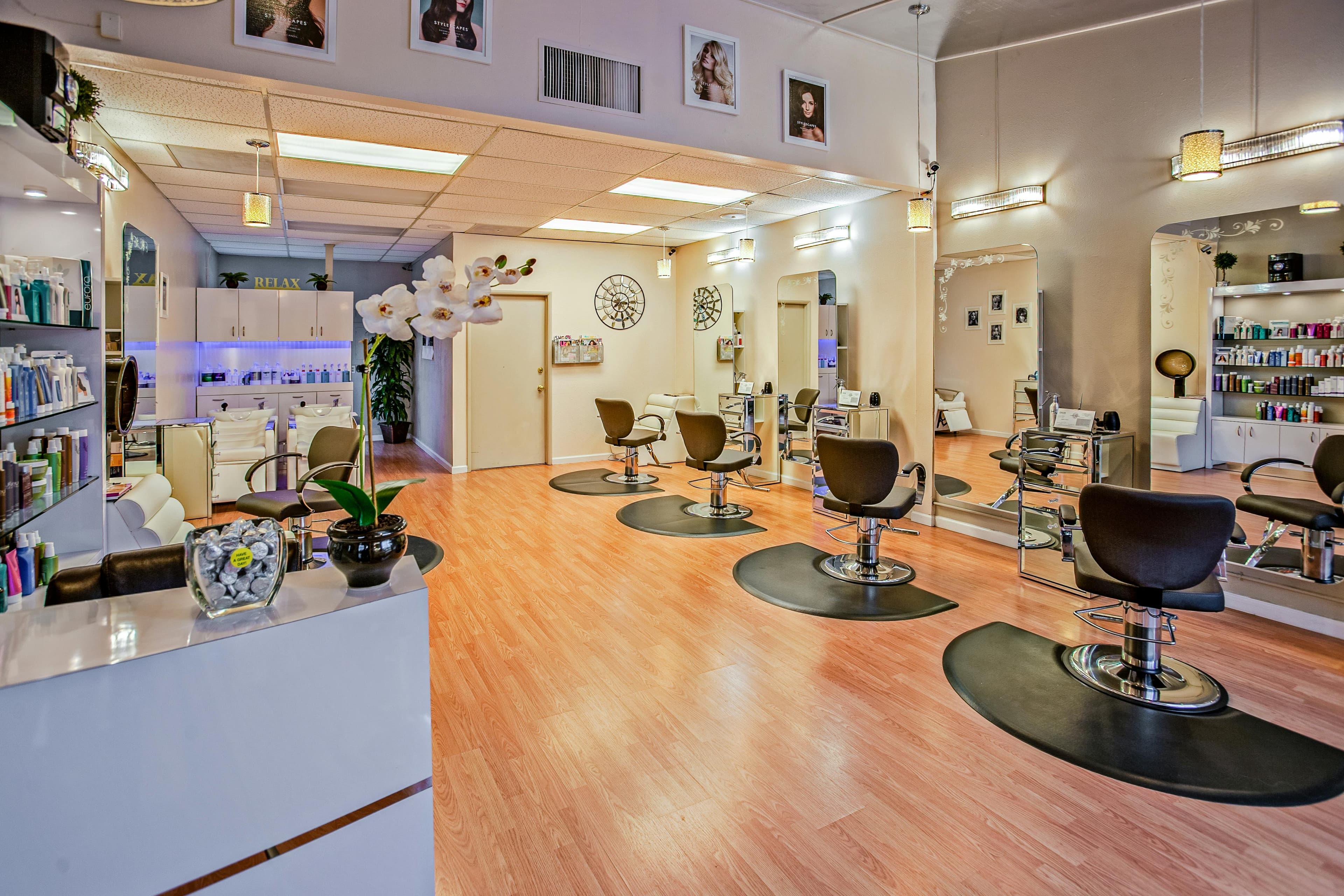 Test Salon boritokep